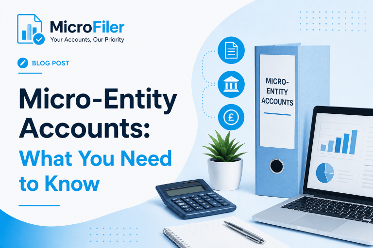 Micro-Entity Accounts What You Need to Know